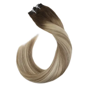 Extensions à clips cheveux Remy Linda bruns